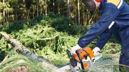Emergency Tree Service Pocatello