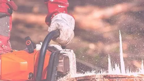 Tree Removal Pocatello