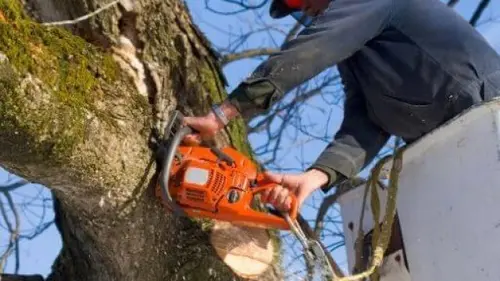 Tree Trimming Pocatello